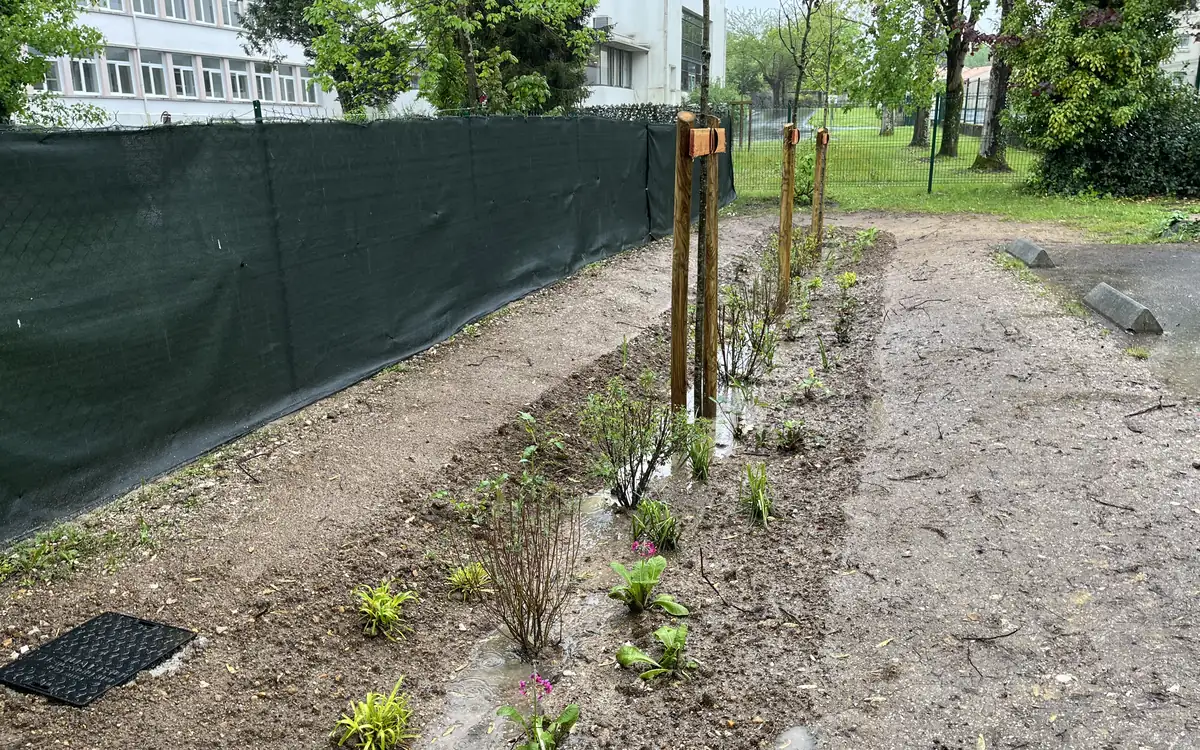 Le premier point d'aquapuncture® d'Angoulême sous la pluie : une noue fraîchement plantée d'arbustes et de vivaces, le long d'une résidence.