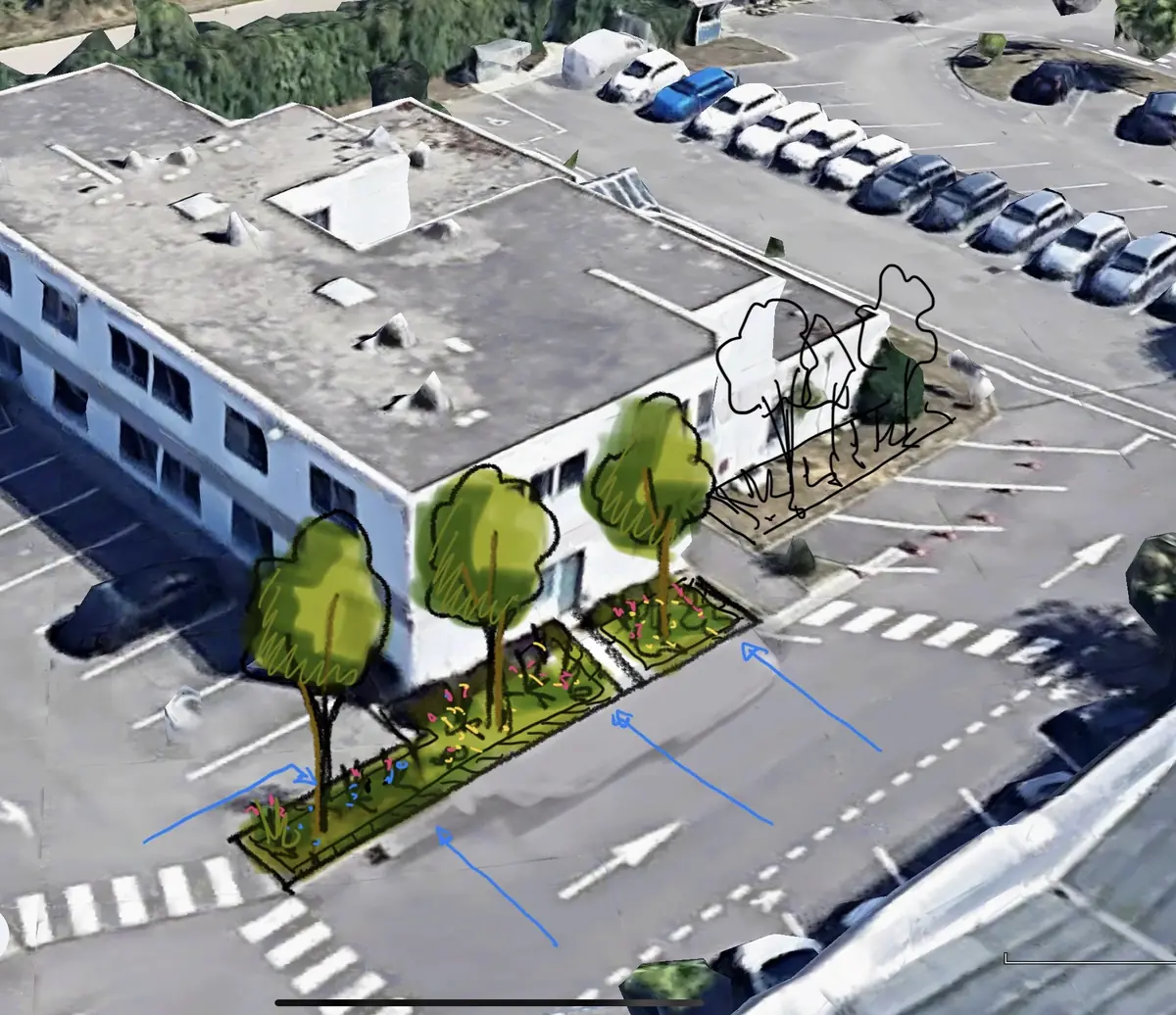 Vue du ciel : une noue plantée remplace une rangée de stationnement au milieu de l'enrobé.
