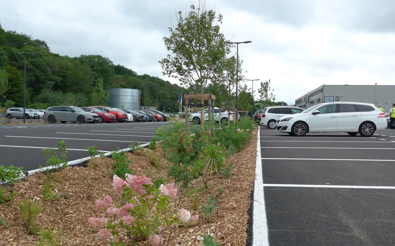 Une noue plantée d'arbustes et de vivaces en fleurs sépare deux rangées de stationnement sur un parc d'activité.